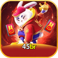 Imagem promocional da 45br mostrando a plataforma e suas vantagens